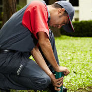 pest-control-malaysia